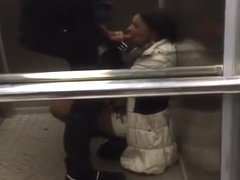 new girl in the office sucks off co-worker in the elevator