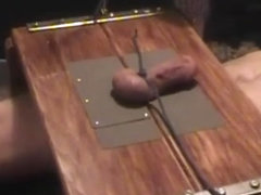 Cock and Ball Torture