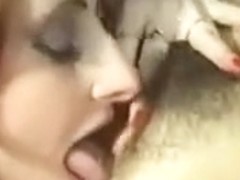Languages Of Small She Cats Lesbian Scene
