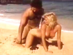 Ginger Lynn Fucked On A Beach By Ron Jeremy