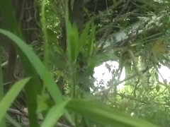Asian babe gets boob sharking while pissing in the woods.