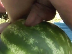 Shemale fucks a watermelon