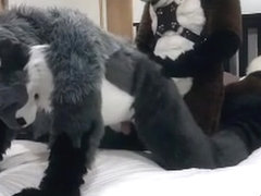 Cute Furry Boys Fuck