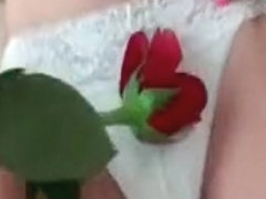 Amateur beauty teases cunt with a rose