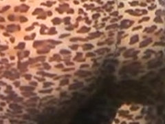 Leopard Arse