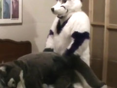 Fursuit sex 2