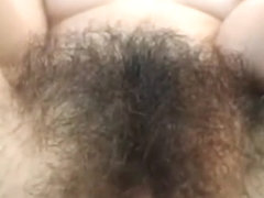 a very hairy bush