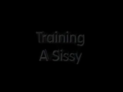 Training A Sissy