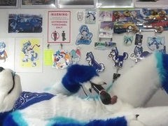 Fursuit sex 88